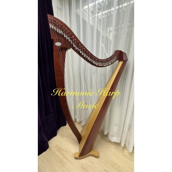 2nd Hand Salvi Titan 38 Strings Lever Harp 2nd Hand Salvi Titan 38 Strings Lever Harp